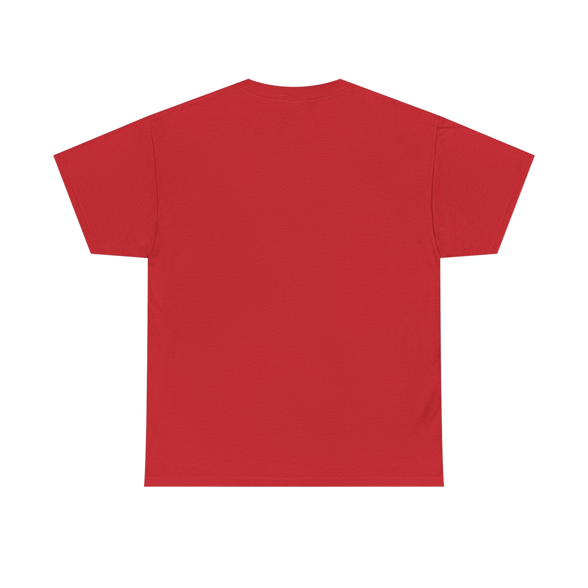 I am 49+ Tee | Funny 49th Birthday Shirt, Milestone Age Humor