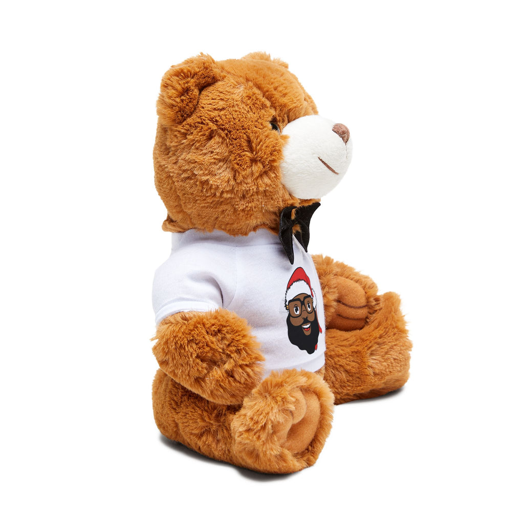 Copy of Teddy Bear with T-Shirt