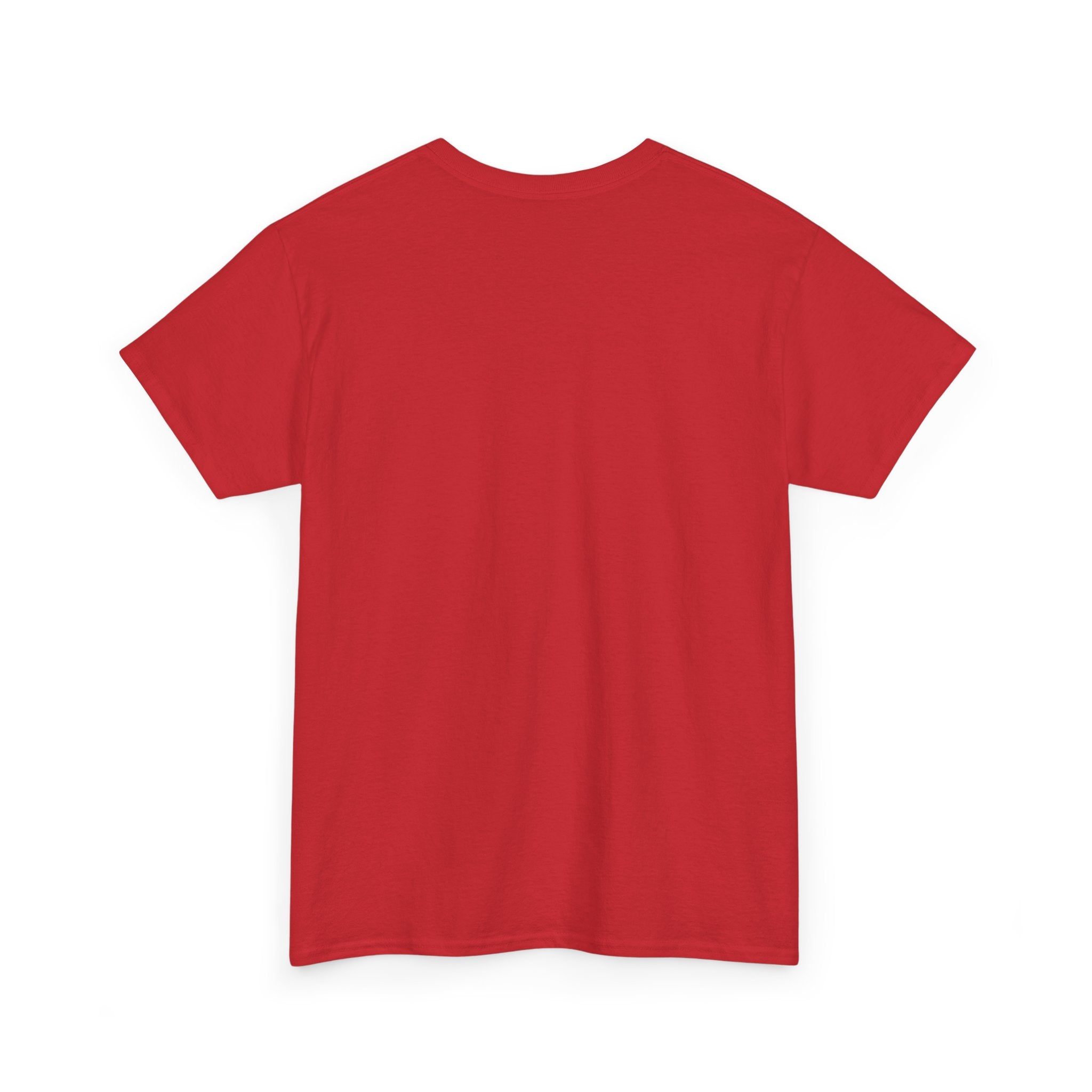 I am 49+ Tee | Funny 49th Birthday Shirt, Milestone Age Humor