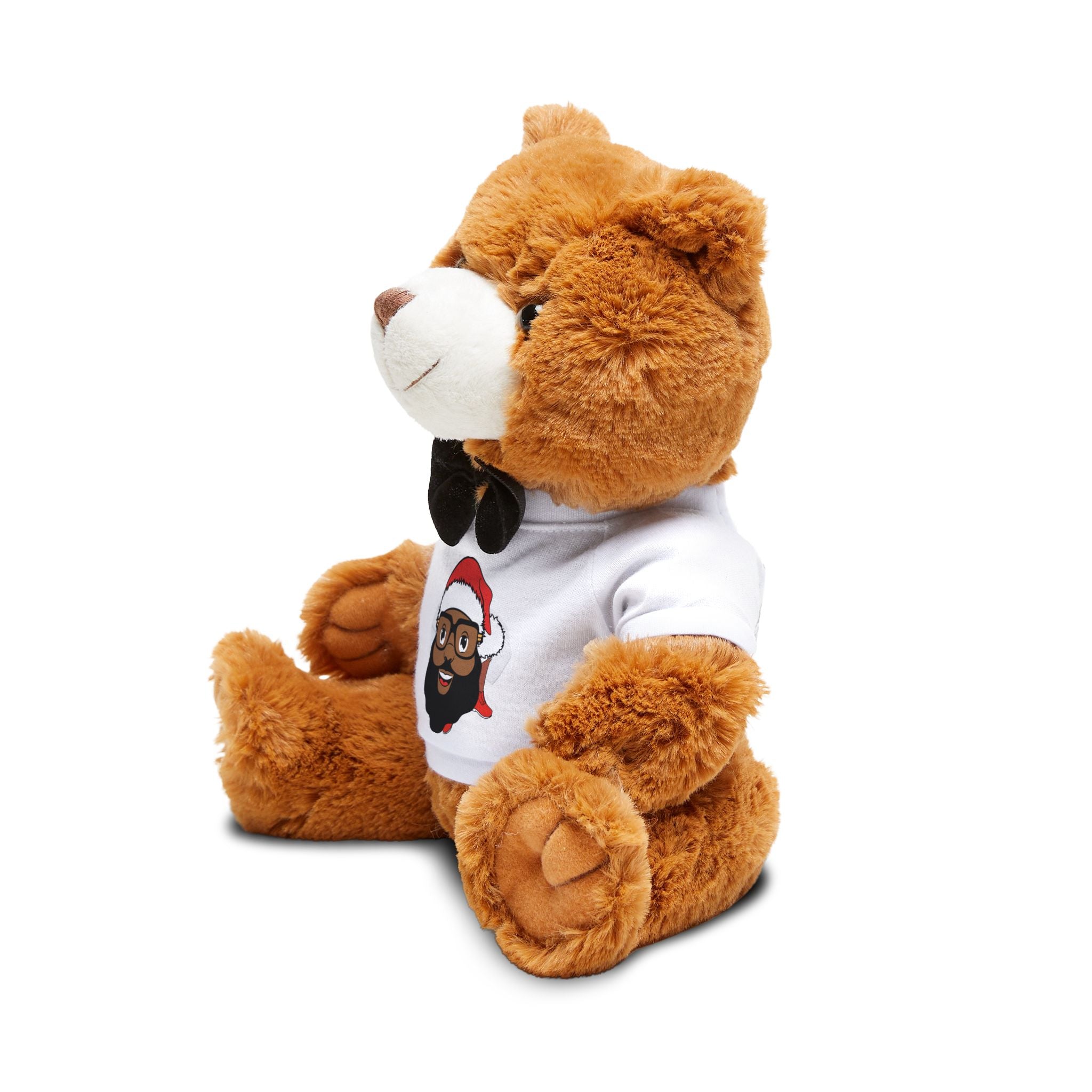Copy of Teddy Bear with T-Shirt