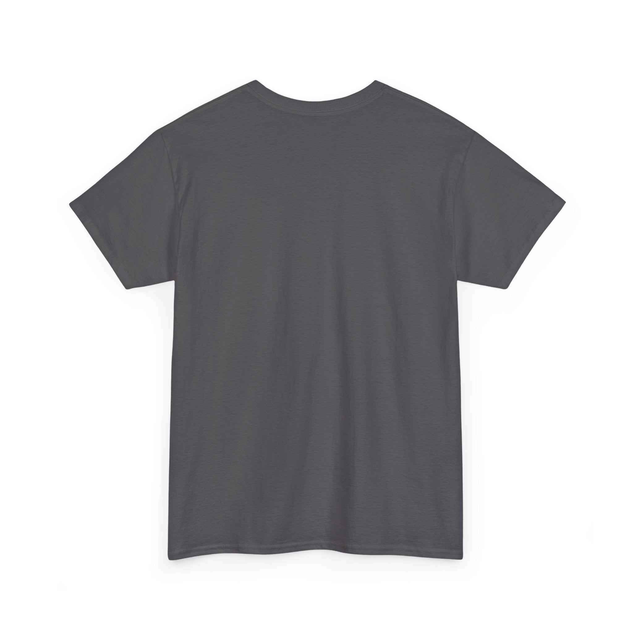 I am 49+ Tee | Funny 49th Birthday Shirt, Milestone Age Humor